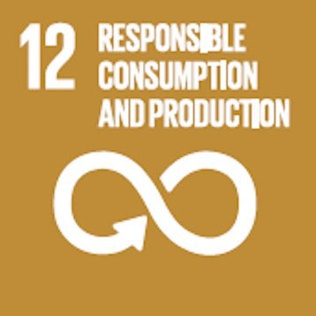 SDG &gt; Responsible Consumption and Production
