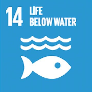 SDG &gt; Life below Water